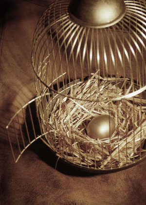 Asset Finance
